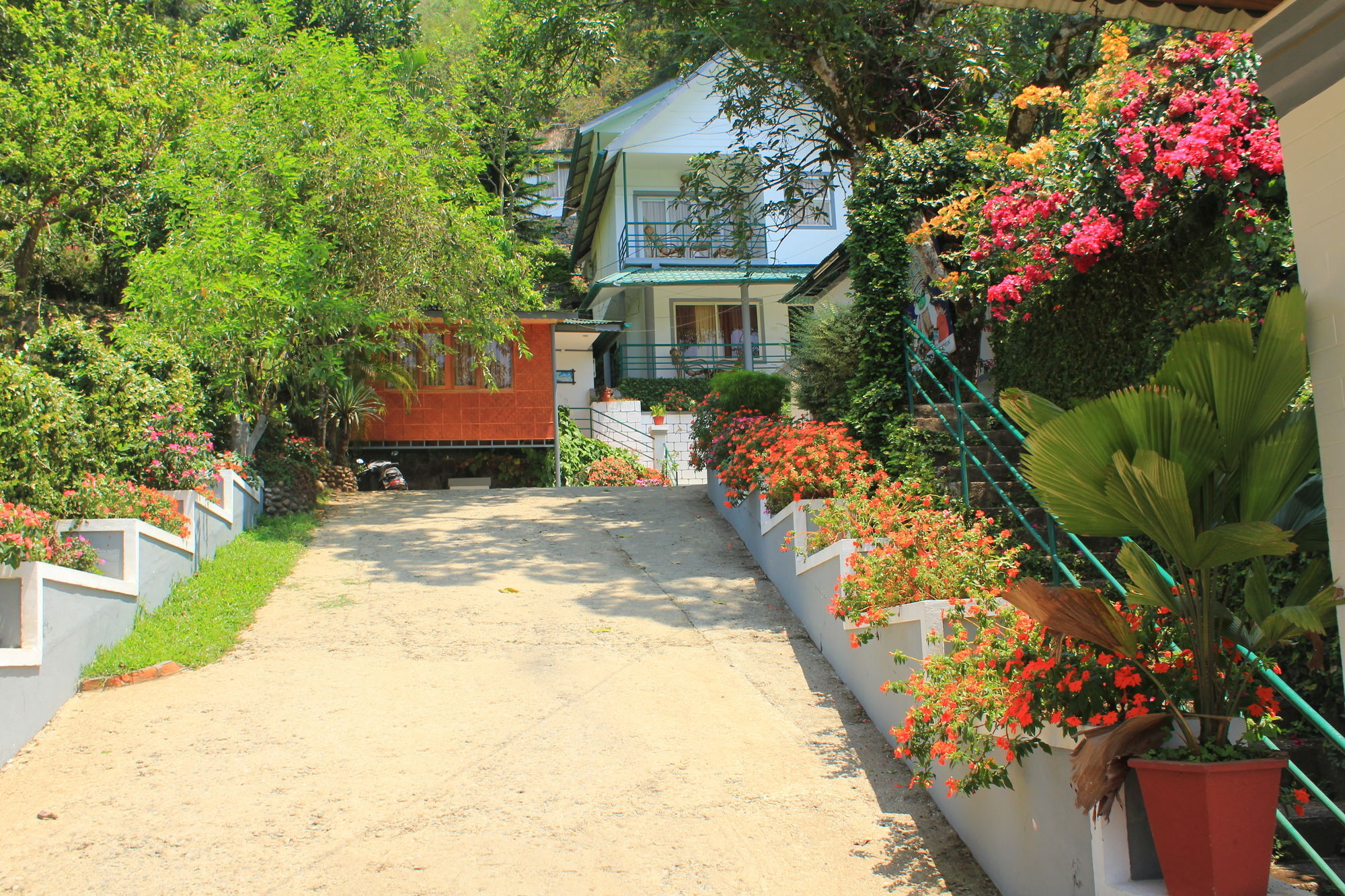 Bellavista Resort Munnar Exterior photo